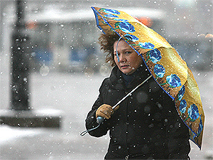 Ущерб от погодных аномалий в России составляет 60 млрд рублей в год